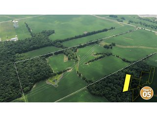 Property photo 29 - 470 Acres Mostly Productive Tillable Land - 6 Tracts